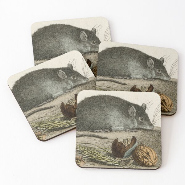 Item preview, Rat drawn in 18th century for French naturalist designed and sold by TerryKerrImages.