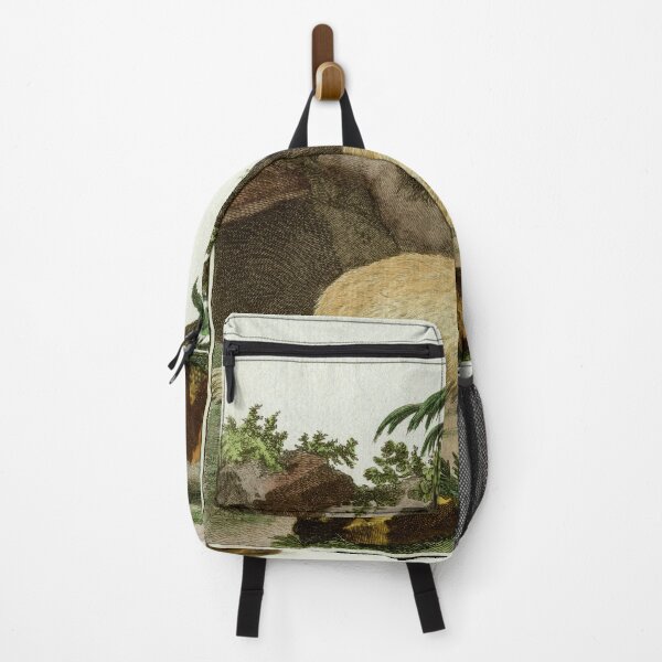 Item preview, Bobak marmot, drawn 1780 for Comte de Buffon designed and sold by TerryKerrImages.