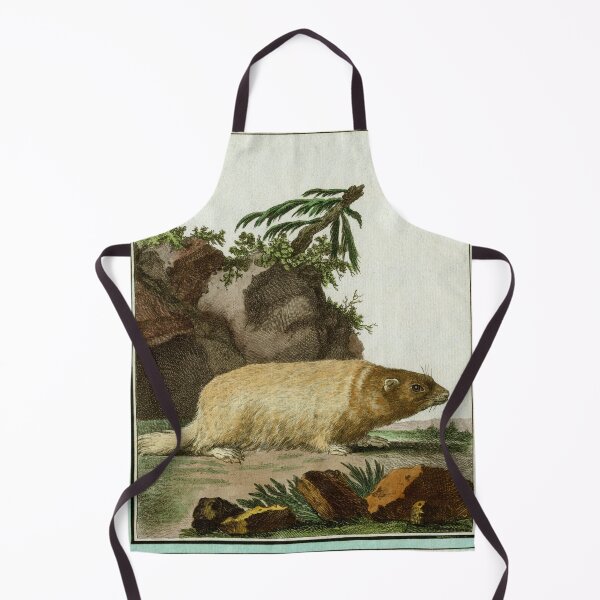 Item preview, Bobak marmot, drawn 1780 for Comte de Buffon designed and sold by TerryKerrImages.
