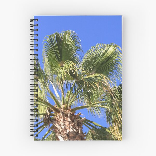 Item preview, Palm tree in front of blue sky designed and sold by RAWWR.
