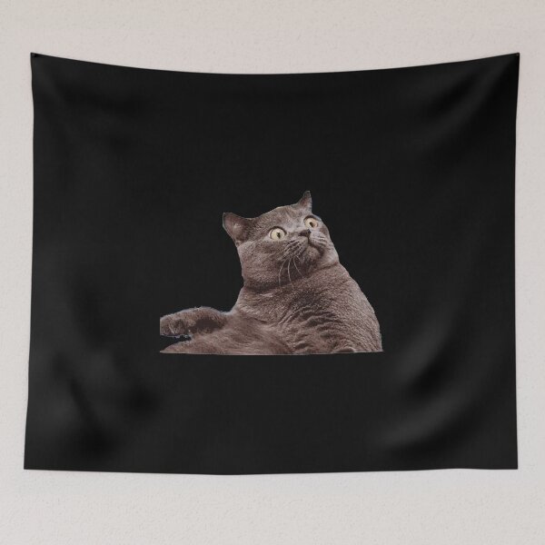 Item preview, Cat is Shookith Meme Cartoon Gift, Cat is Shookith Stickers & Magnets designed and sold by Marin ★★★★★.