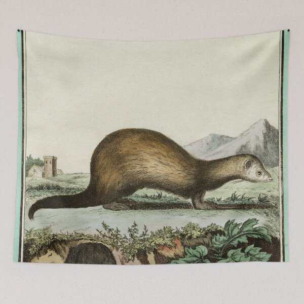 Item preview, Polecat ferret, drawn 1780 for Comte de Buffon designed and sold by TerryKerrImages.