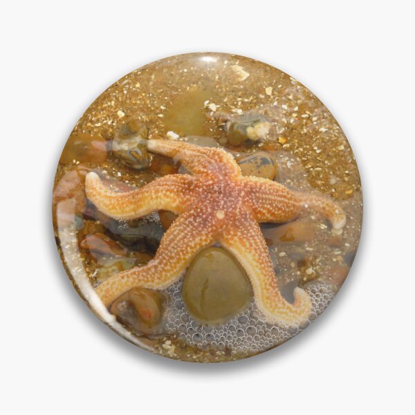 Item preview, Starfish - Marine Echinoderms designed and sold by wiggyofipswich.