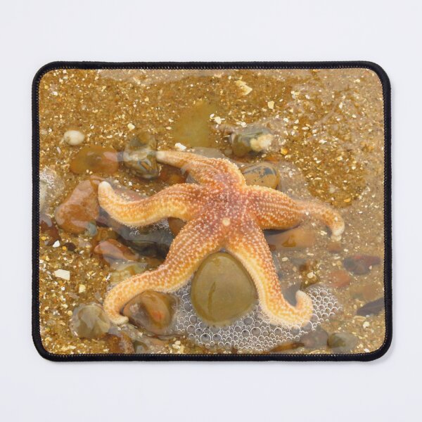 Item preview, Starfish - Marine Echinoderms designed and sold by wiggyofipswich.