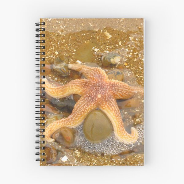 Item preview, Starfish - Marine Echinoderms designed and sold by wiggyofipswich.