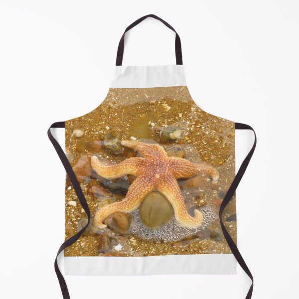 Item preview, Starfish - Marine Echinoderms designed and sold by wiggyofipswich.