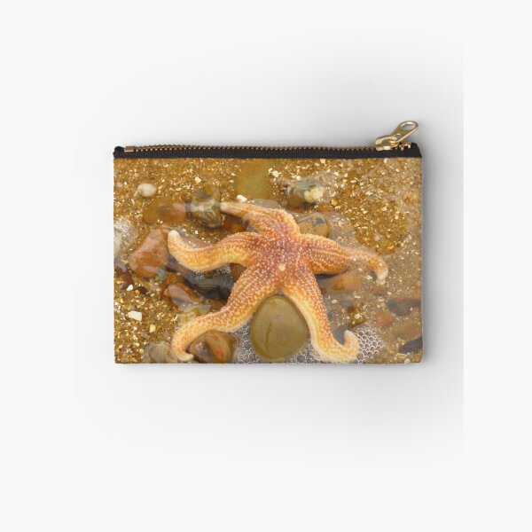 Item preview, Starfish - Marine Echinoderms designed and sold by wiggyofipswich.
