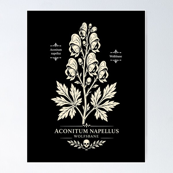 Item preview, Wolfsbane Botanical Illustration Dark Academia Poison Plant Gothic Herbal Shirt designed and sold by nbg2012.