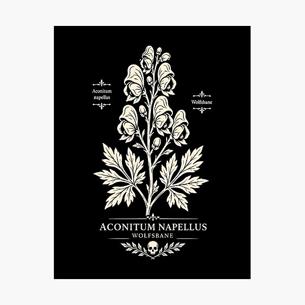 Item preview, Wolfsbane Botanical Illustration Dark Academia Poison Plant Gothic Herbal Shirt designed and sold by nbg2012.