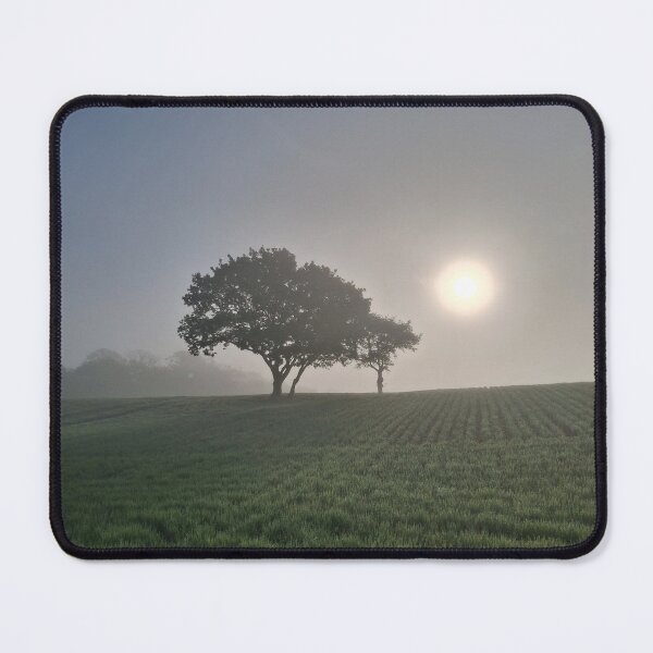 Item preview, Early Morning Sunshine, Doctor Watson's Lane designed and sold by wiggyofipswich.