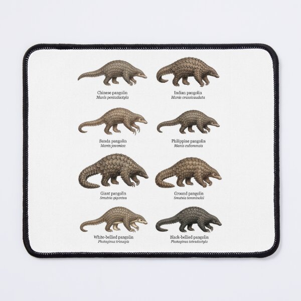 Item preview, Pangolin Species designed and sold by ArunDandiboina.