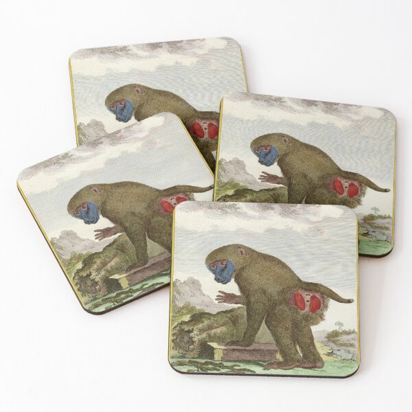 Item preview, Baboon drawn in 1780 for Comte de Buffon designed and sold by TerryKerrImages.