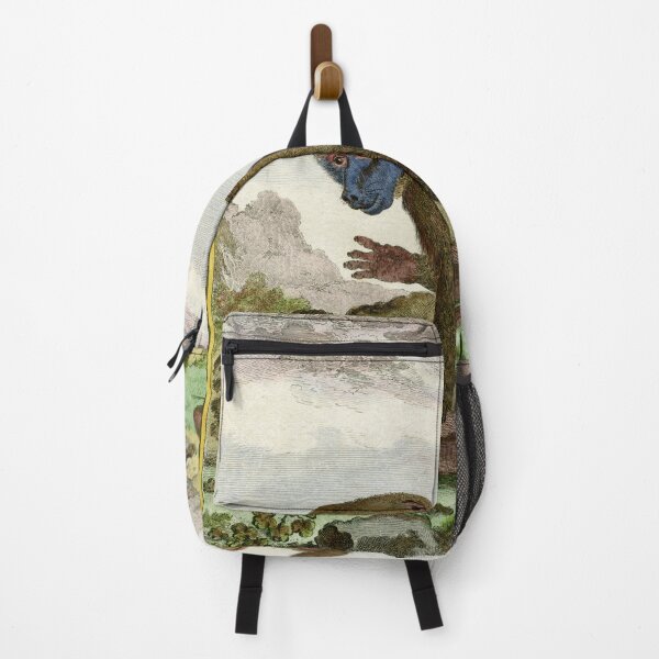 Item preview, Baboon drawn in 1780 for Comte de Buffon designed and sold by TerryKerrImages.