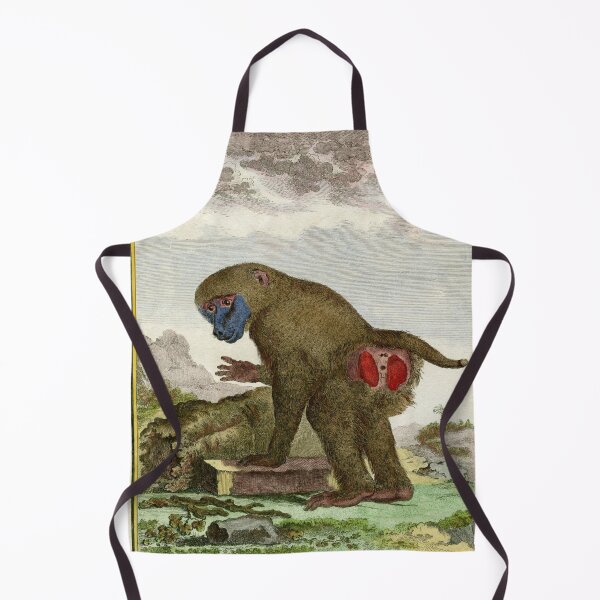 Item preview, Baboon drawn in 1780 for Comte de Buffon designed and sold by TerryKerrImages.