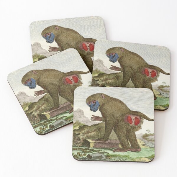 Item preview, Cheeky baboon drawn in 1780 designed and sold by TerryKerrImages.