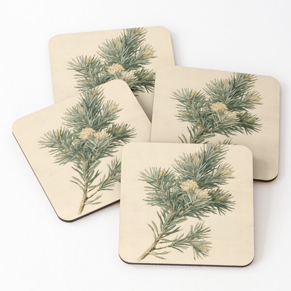 Item preview, Blue Spruce Vintage Nature Study designed and sold by HortusPress.