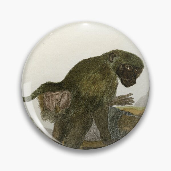 Item preview, Baboon drawn in 18th century designed and sold by TerryKerrImages.