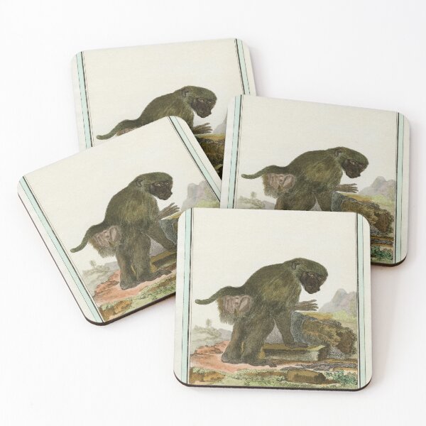 Item preview, Baboon drawn in 18th century designed and sold by TerryKerrImages.