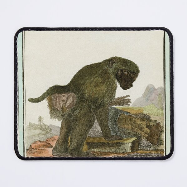 Item preview, Baboon drawn in 18th century designed and sold by TerryKerrImages.