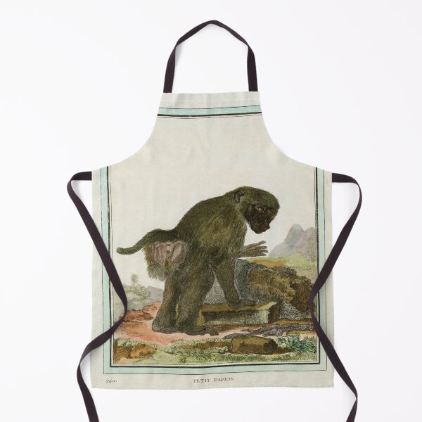 Item preview, Baboon drawn in 18th century designed and sold by TerryKerrImages.