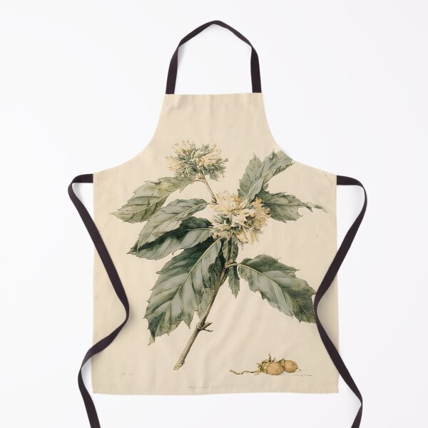 Item preview, Sweet Chestnut Herbarium Illustration designed and sold by HortusPress.
