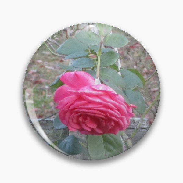 Item preview, Pink Rose designed and sold by Alexander Krishchyunas.