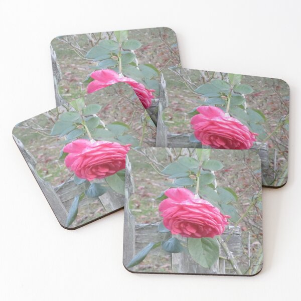 Item preview, Pink Rose designed and sold by Alexander Krishchyunas.