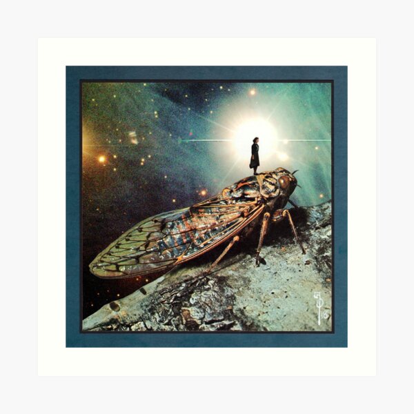 On the Lookout Art Print