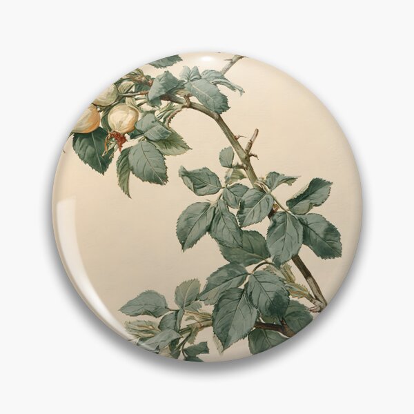 Item preview, Antique Rosehip Nature Study designed and sold by HortusPress.