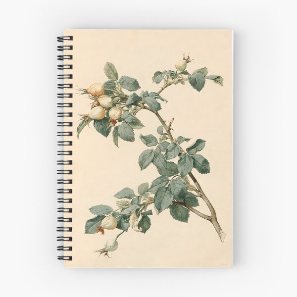 Item preview, Antique Rosehip Nature Study designed and sold by HortusPress.