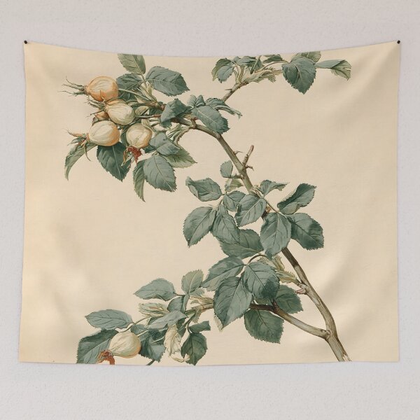 Item preview, Antique Rosehip Nature Study designed and sold by HortusPress.
