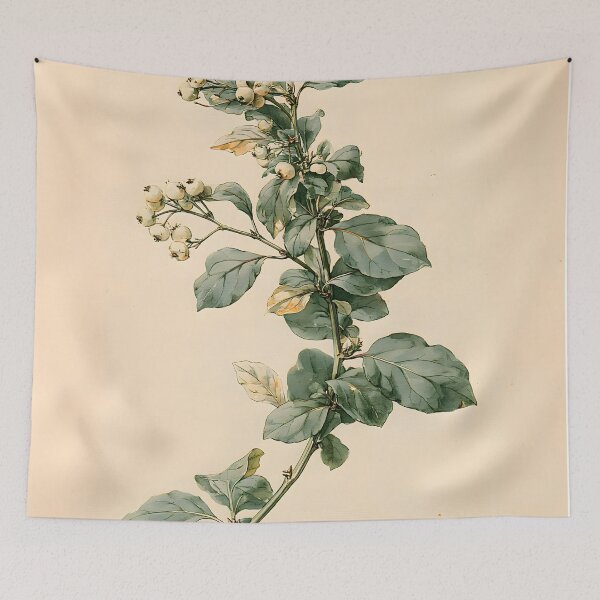 Item preview, Vintage Spindle Naturalist Print designed and sold by HortusPress.