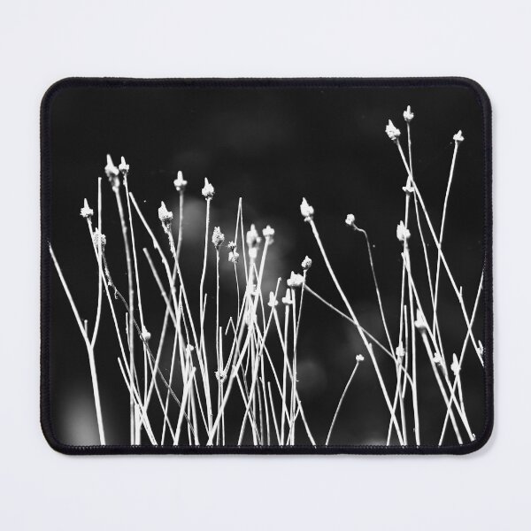 Item preview, Withered grass shoots in artistic monochrome. designed and sold by NaturePhotography.