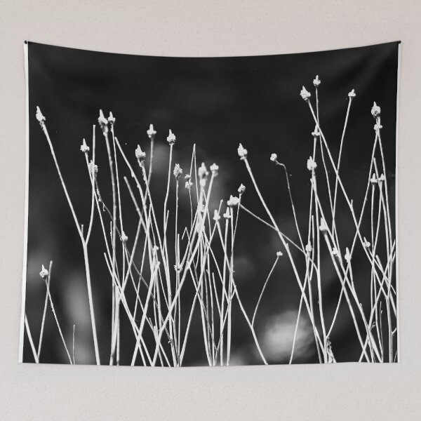Item preview, Withered grass shoots in artistic monochrome. designed and sold by NaturePhotography.