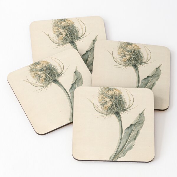 Item preview, Teasel Botanical Watercolor designed and sold by HortusPress.