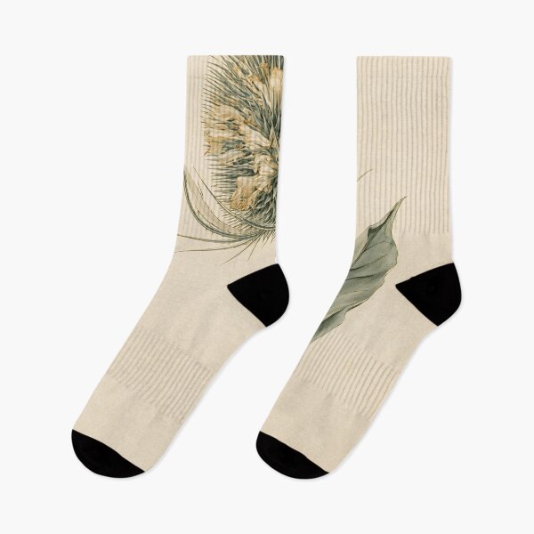 Item preview, Teasel Botanical Watercolor designed and sold by HortusPress.