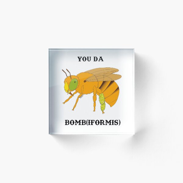 Aperçu de l'œuvre Tu es une bombe (iformis) créée et vendue par BeeBabette.