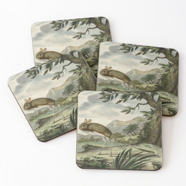 Item preview, Jerboa drawn in 1780 for Comte de Buffon designed and sold by TerryKerrImages.