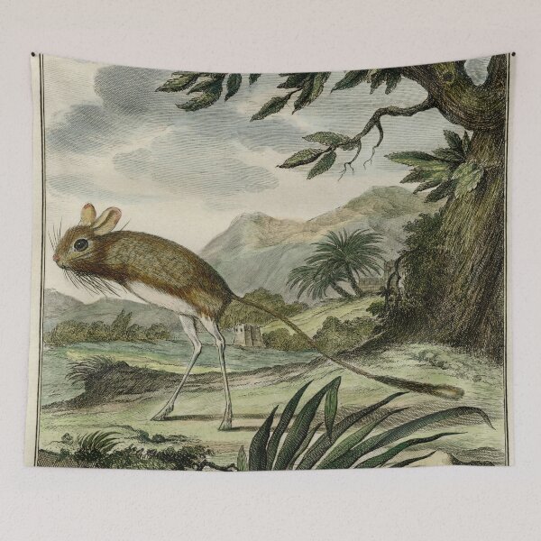 Item preview, Jerboa drawn in 1780 for Comte de Buffon designed and sold by TerryKerrImages.