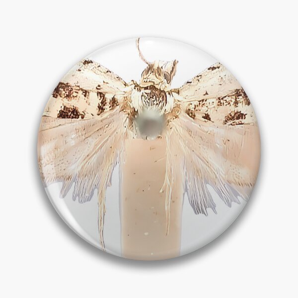 Item preview, Black Moth Drawing | Insect Art designed and sold by GammaRay.