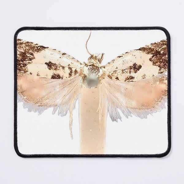 Item preview, Black Moth Drawing | Insect Art designed and sold by GammaRay.
