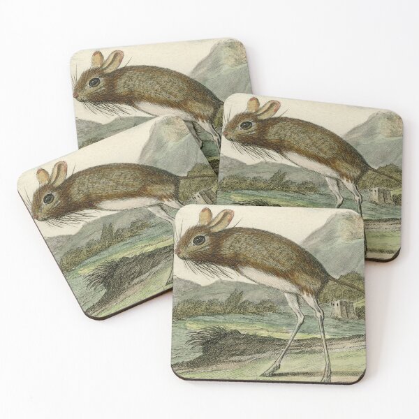 Item preview, Jerboa stands on two legs, poised to spring designed and sold by TerryKerrImages.