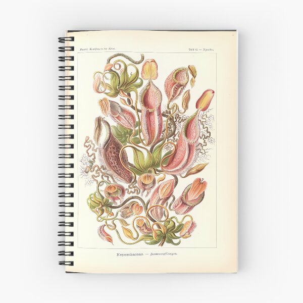 Item preview, Pitcher Plants Botanical Drawing | Insect Art designed and sold by GammaRay.