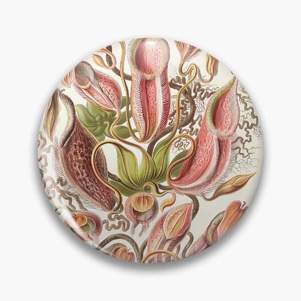 Item preview, Pitcher Plants Botanical Drawing | Insect Art designed and sold by GammaRay.