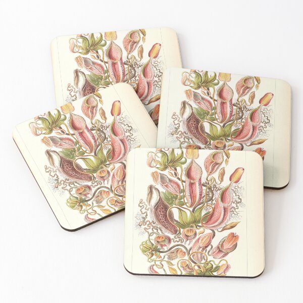 Item preview, Pitcher Plants Botanical Drawing | Insect Art designed and sold by GammaRay.