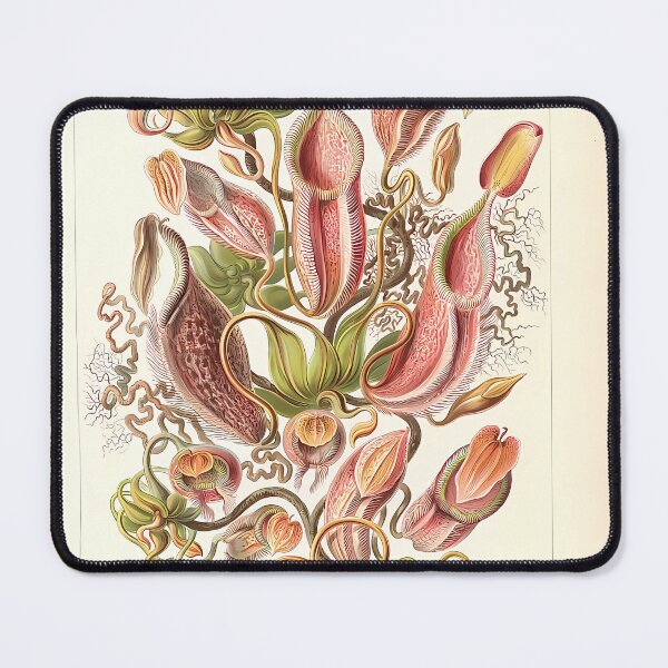 Item preview, Pitcher Plants Botanical Drawing | Insect Art designed and sold by GammaRay.