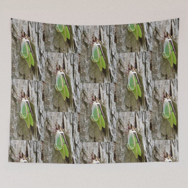 Item preview, look at this moth! designed and sold by AlmostReady.