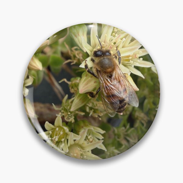 Item preview, Honeybee Collecting Pollen designed and sold by Betsy Phillips.