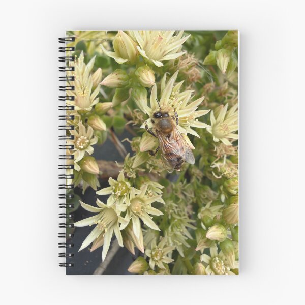 Item preview, Honeybee Collecting Pollen designed and sold by Betsy Phillips.