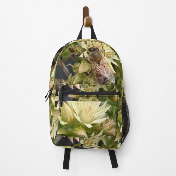 Item preview, Honeybee Collecting Pollen designed and sold by Betsy Phillips.